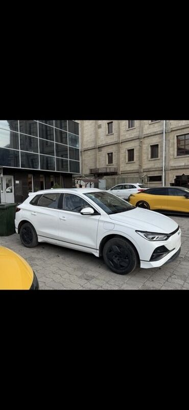 BYD: BYD : 2020 г.