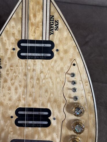 Saz: Sarı saz Yaygın saz evinin alətidi yenidi üstündəki adı lazım olsa — 2