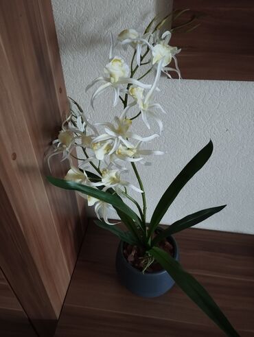 декор пласт: Исскуственная орхидея смотрится очень эффектно