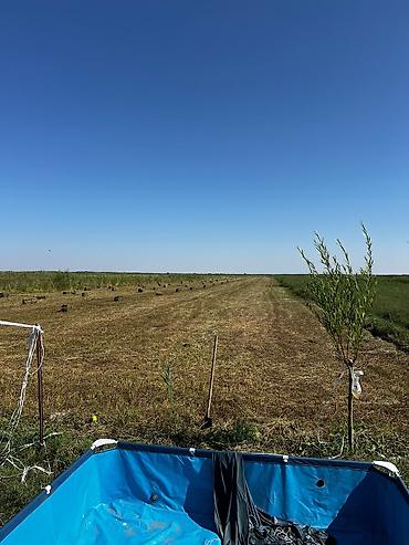 Продажа участков: 1300 соток, Для сельского хозяйства, Красная книга — 12