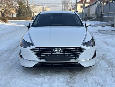 hyundai sonata автомобили: Hyundai Sonata: 2020 г., 2 л, Автомат, Бензин, Седан