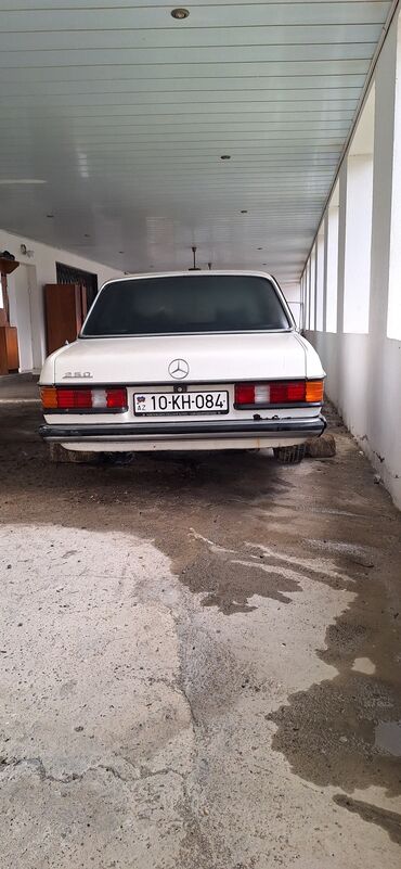 Mercedes-Benz: Mercedes-Benz 250: 2.5 l | 1981 il Sedan — 17