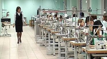 робота кафе: Технолог at lalafo.kg робота кафе: Технолог