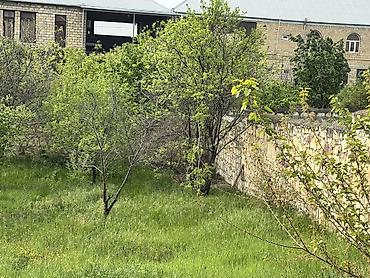 qubada obyekt satilir: 4 otaqlı, 250 kv. m, Yeni təmirli — 9