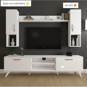 TV stent