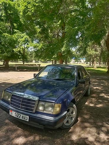 Mercedes-Benz: Mercedes-Benz W124: 1989 г., 2.6 л, Механика, Бензин — 1