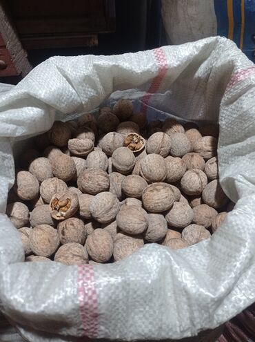 Сухофрукты, орехи, снеки: Продаю грецкие орехи. Урожай 2023 года. В наличии 100 кг. Цена 