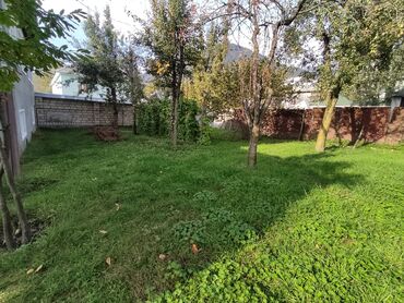 Torpaq sahələrinin satışı: 32 sot, Kənd təsərrüfatı, Mülkiyyətçi, Kupça (Çıxarış) -da lalafo.az — 6 Torpaq sahələrinin satışı: 32 sot, Kənd təsərrüfatı, Mülkiyyətçi, Kupça (Çıxarış) — 6