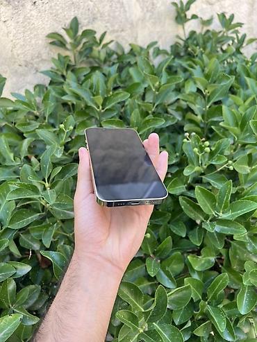 azerbaycan iphone 14: IPhone 13 Pro, Gümüşü, Face ID — 4