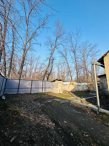 Продажа участков: 6 соток, Для бизнеса, Красная книга, Тех паспорт — 5