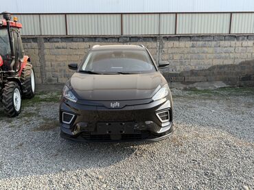 Weltmeister: Weltmeister EX5, 2022 г., 54721 км — 2