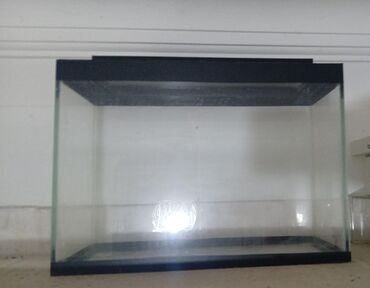 доберман цена в баку: Akvaryum barter edirem baxır TƏKLİFƏ. Ev üçün ofis üçün ela