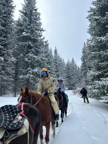 Продажа офисов: Продаю Продажа офисов 368 м², С ремонтом, С мебелью, Административное здание, 1 этаж — 16