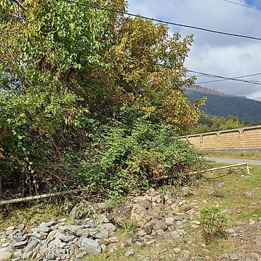 Torpaq sahələrinin satışı: 16 sot, Kənd təsərrüfatı, Makler, Kupça (Çıxarış) — 7