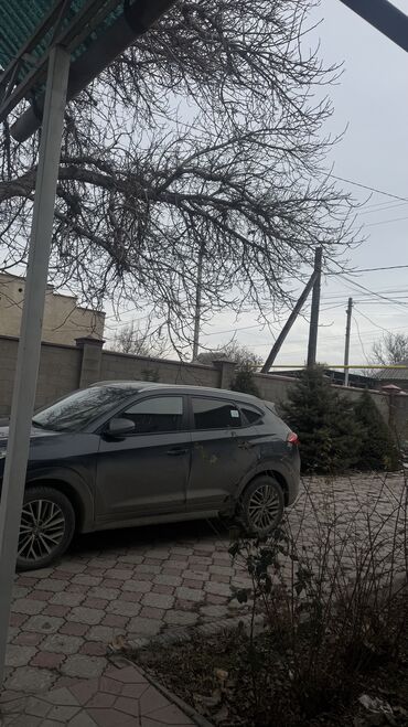 Долгосрочная аренда комнат: Комната берилет! — 1