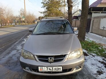 транспорт каракол: Honda Odyssey: 2003 г., 2.3 л, Автомат, Бензин, Вэн/Минивэн