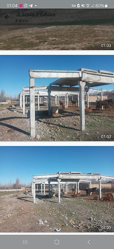 угол каракол: Продаётся туба и плита вТалассе — 2
