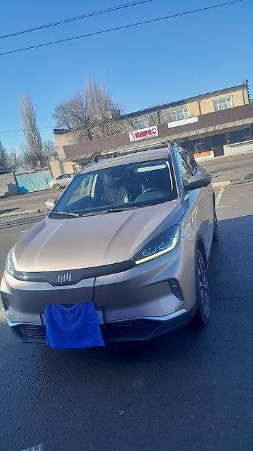 Weltmeister: Weltmeister EX5, 2020 г. — 6