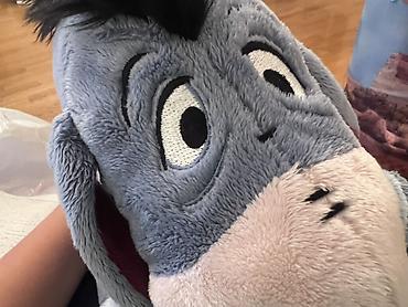 kaktus oyuncaq: Məhsul: Eeyore (Vinni Pux dünyası) yumşaq oyuncaq - Material: yüksək — 2