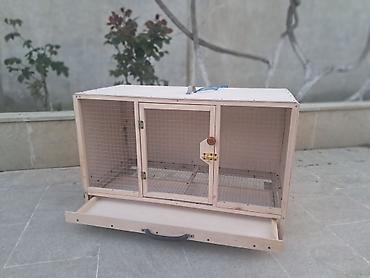 akvarium xırda balığı: Tecili qefes satilir 2 ededdi balaca qefes 30 manata boyuk qefes — 3