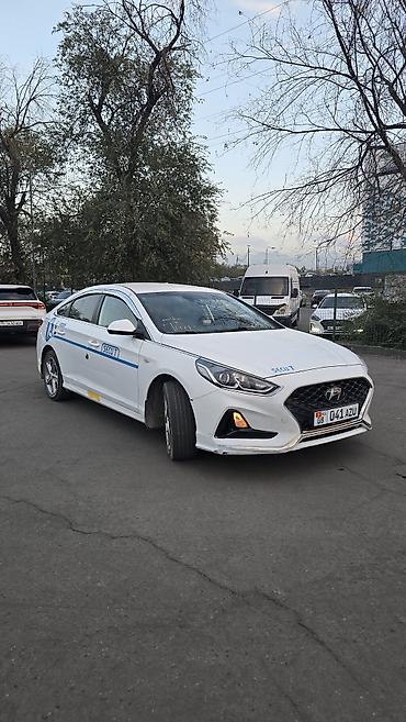 sonata 2013: Hyundai Sonata: 2020 г., 2 л, Автомат, Газ, Седан — 3