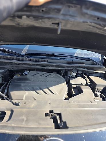 Kia: Kia Carnival: 2019 г., 2.2 л, Автомат, Дизель, Минивэн — 31