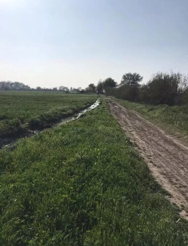 kiraje evler: 2500 sot, Biznes üçün, Mülkiyyətçi, Kupça (Çıxarış)