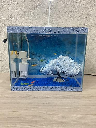 akvarium qizdirici: Dördbucaq akvarium, Boş, 10 l, Ünvandan götürmə, Pulsuz çatdırılma, Ödənişli çatdırılma — 4