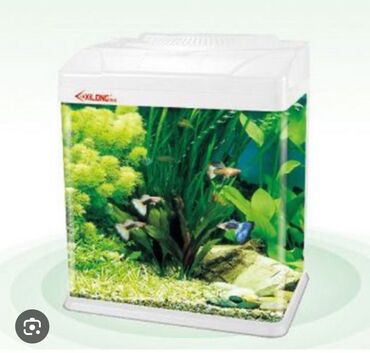 малек рыбы: Продаю аквариум заводской с крышкой, светом и фильтром 20 литров