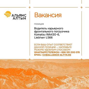 мед инструменты: Альянс Алтын открывает вакансии на месторождении «Джеруй» (Таласская — 3