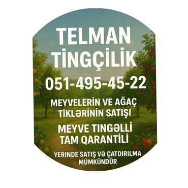 Tinglər: Meyvə tingləri – intensiv bağlar üçün - Növlər: alma və armud heyva — 17