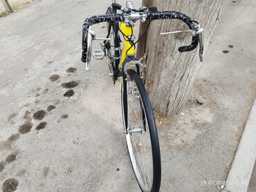 İdman velosipedləri: Şosse tipli velosiped – VODAN Bike Group Barracuda Xüsusiyyətlər: - — 4