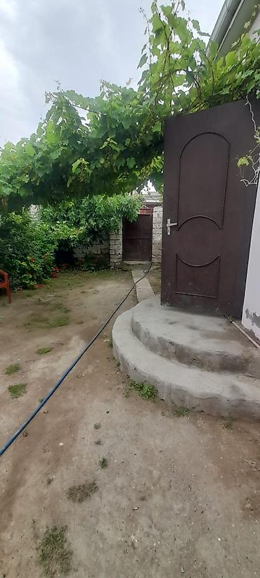 bine sovxoz: Buzovna qəsəbəsində həyət evi satılır. Torpağın və evin kupçası var — 9