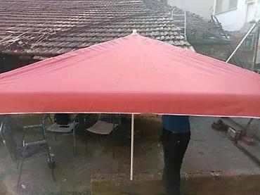 sadnice jagode: SUNCOBRAN 250X200 CM NOV OGROMAN ZA BASTU PLAZU DVORISTE TOP | Cene — 1