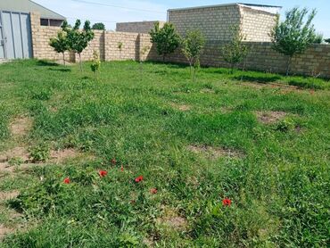 Həyət evləri və villaların satışı: 3 otaqlı, 100 kv. m, Orta təmir -da lalafo.az — 10 Həyət evləri və villaların satışı: 3 otaqlı, 100 kv. m, Orta təmir — 10