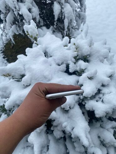 Apple iPhone: IPhone 11, 64 ГБ, Серебристый — 6