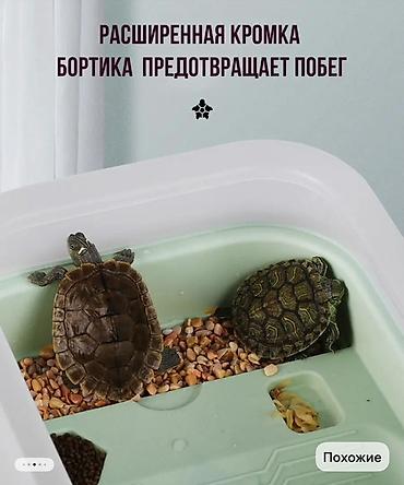 Аквариумы: Акватеррариум для черепах, 9 л (примерные размеры: 18,1 × 66 × 35 см) — 3