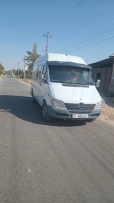 Mercedes-Benz: Mercedes-Benz Спринтер: 2002 г., 2.9 л, Ручные, Дизель — 2