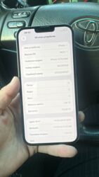 bork стайлер бишкек: IPhone 13 Pro Max, Б/у, 128 ГБ, Jet Black, Зарядное устройство, Защитное стекло, Чехол, 81 %