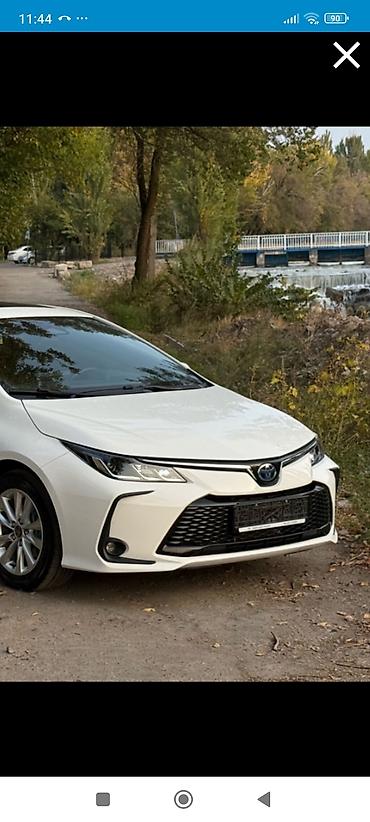 Бампер Toyota, Новый, Аналог