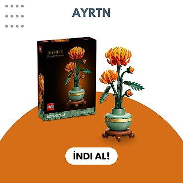ev tipi cadir: LEGO Botanicals – Chrysanthemum konstruksiya dəsti - Model — 1