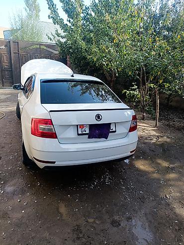 Skoda: Skoda Octavia: 2018 г., 1.6 л, Автомат, Газ, Лифтбек — 6