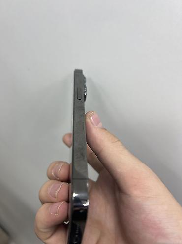 ipad 64: IPhone 13 Pro, 256 ГБ, серый (Graphite) Кичинекей питно бар крышка — 5