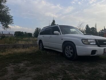 купить машину недорого автомат: Subaru Forester: 1998 г., 2 л, Автоматические, Бензин, Универсал
