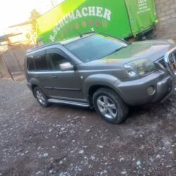 Nissan: Nissan X-Trail: 2004 г., Механика, Бензин — 4