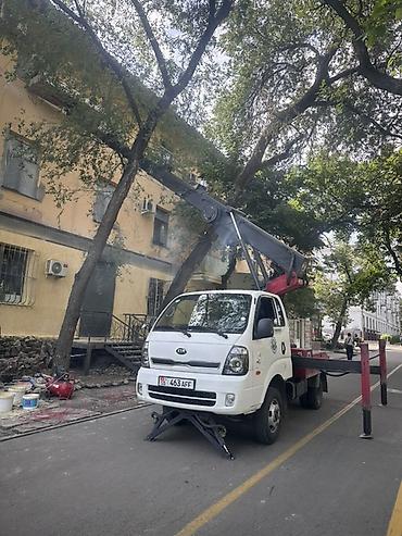 Услуга: аренда автовышки на базе малотоннажного шасси KIA