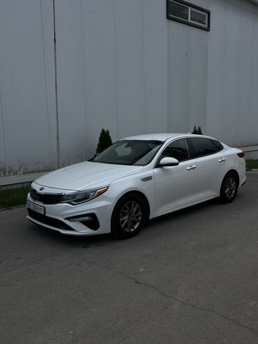 антена для машины: Kia Optima: 2019 г., 2.4 л, Автомат, Бензин, Седан