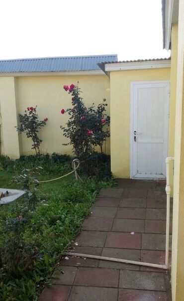 Həyət evləri və villaların satışı: Binəqədi qəs. 4 otaqlı, 120 kv. m, Kredit yoxdur, Yeni təmirli -da lalafo.az — 11 Həyət evləri və villaların satışı: Binəqədi qəs. 4 otaqlı, 120 kv. m, Kredit yoxdur, Yeni təmirli — 11