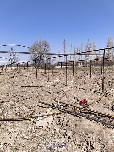 комната ак ордо: С готовой бизнес линиейсрочно, 3 фазка,погреб, скважинаплюс — 6
