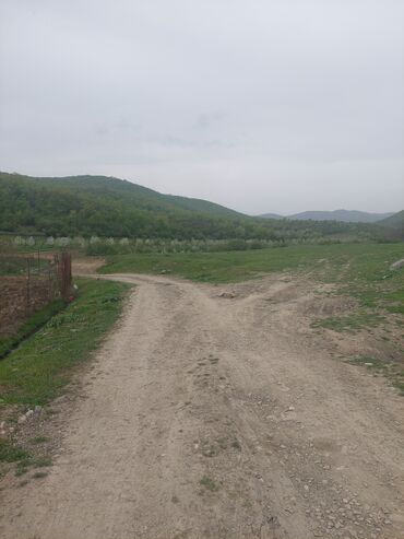 Torpaq sahələrinin satışı: 31 sot, Kənd təsərrüfatı, Kupça (Çıxarış) -da lalafo.az — 17 Torpaq sahələrinin satışı: 31 sot, Kənd təsərrüfatı, Kupça (Çıxarış) — 17